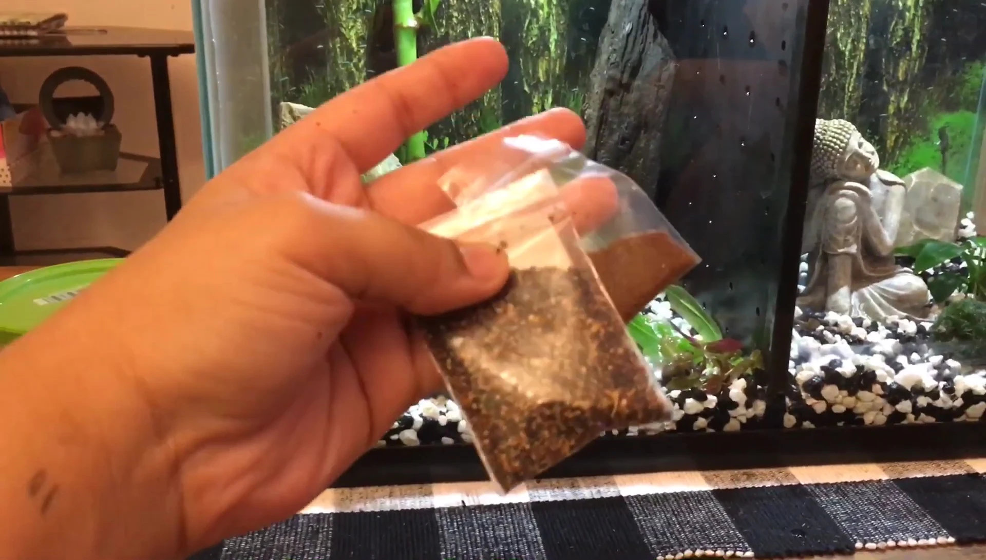 Screenshot demonstrating the planting of the carpet seeds.
