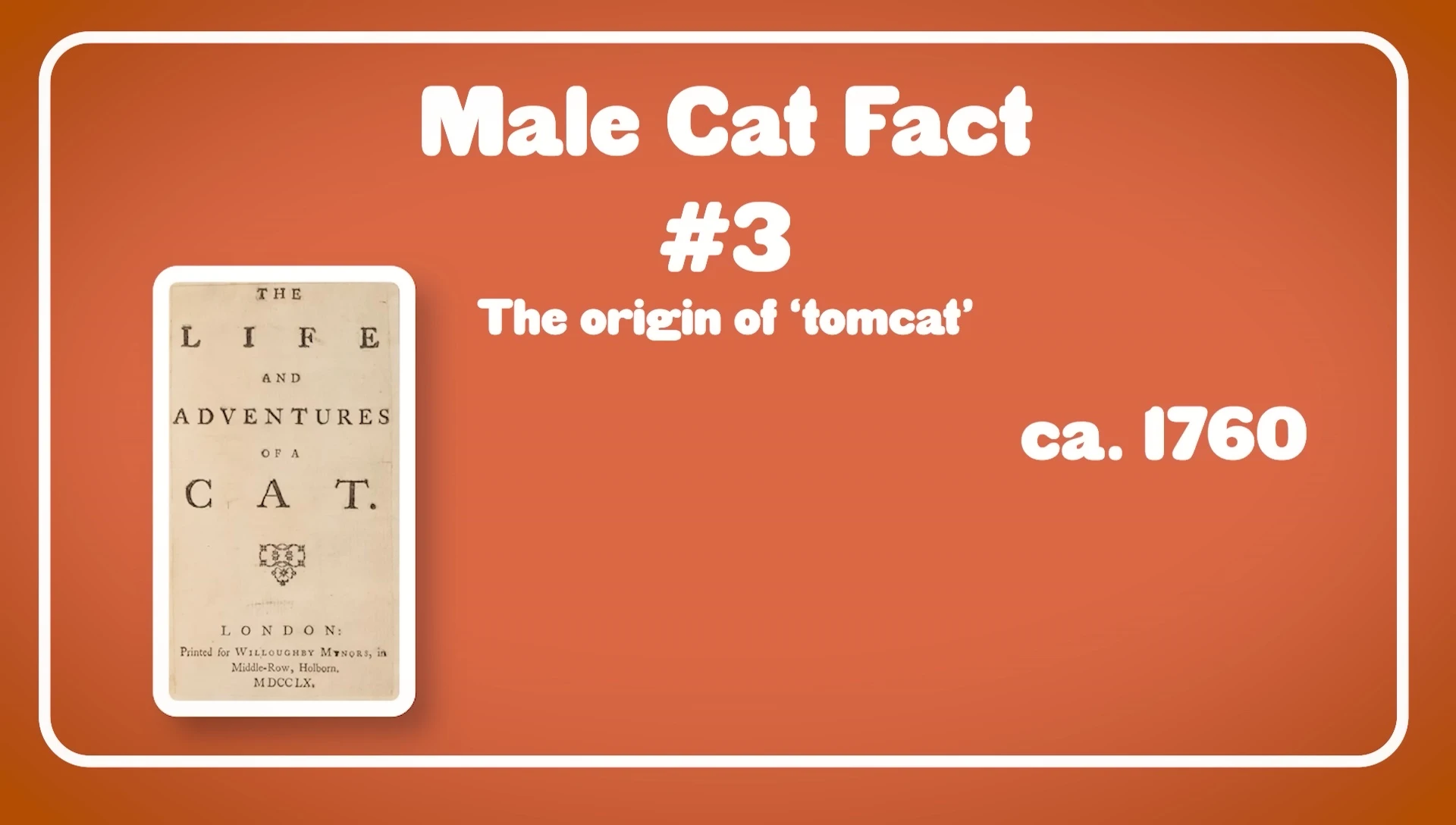 A book cover or image referencing the 'Life and Adventures of a Cat'.