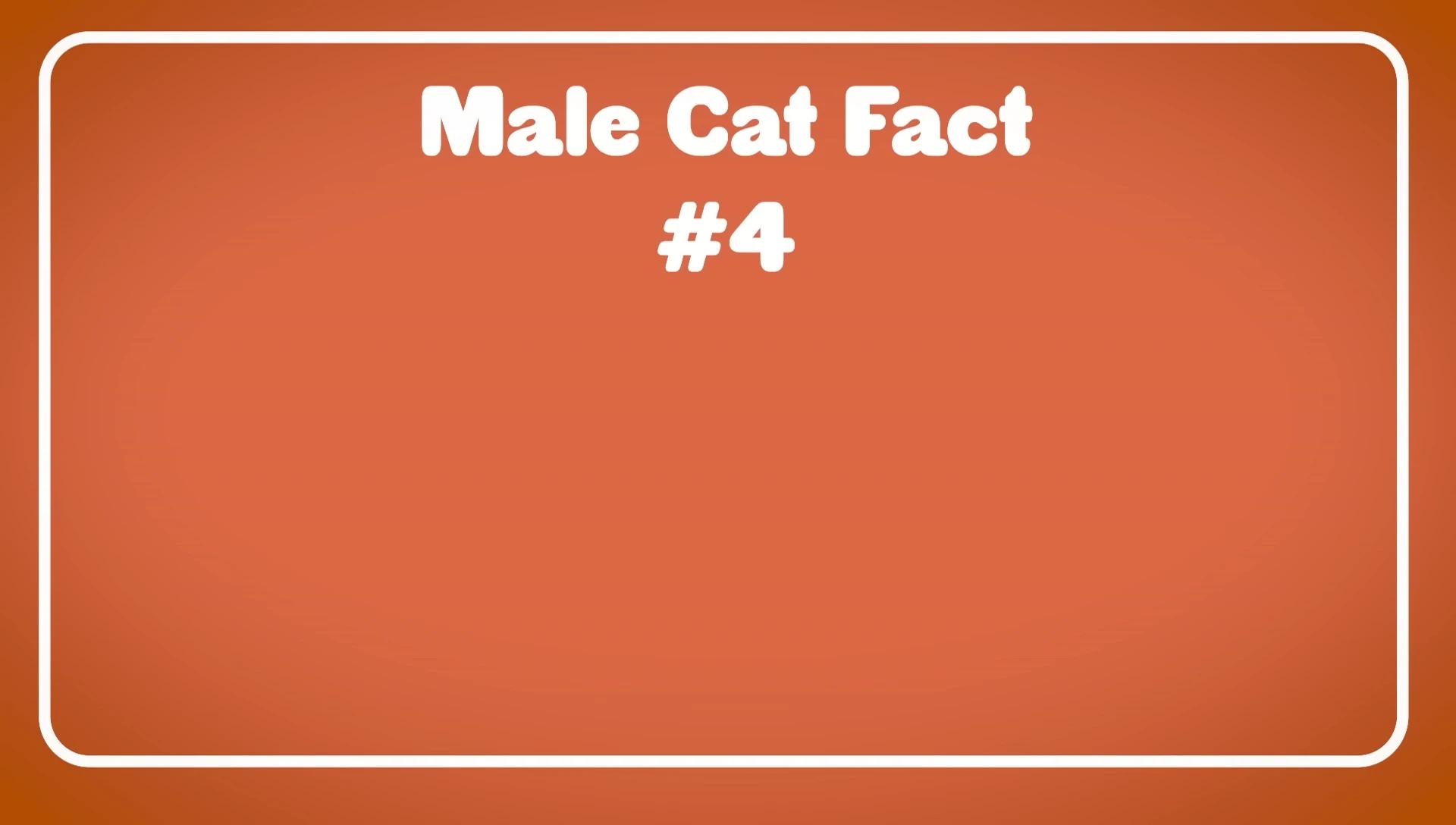 A male cat sitting calmly.