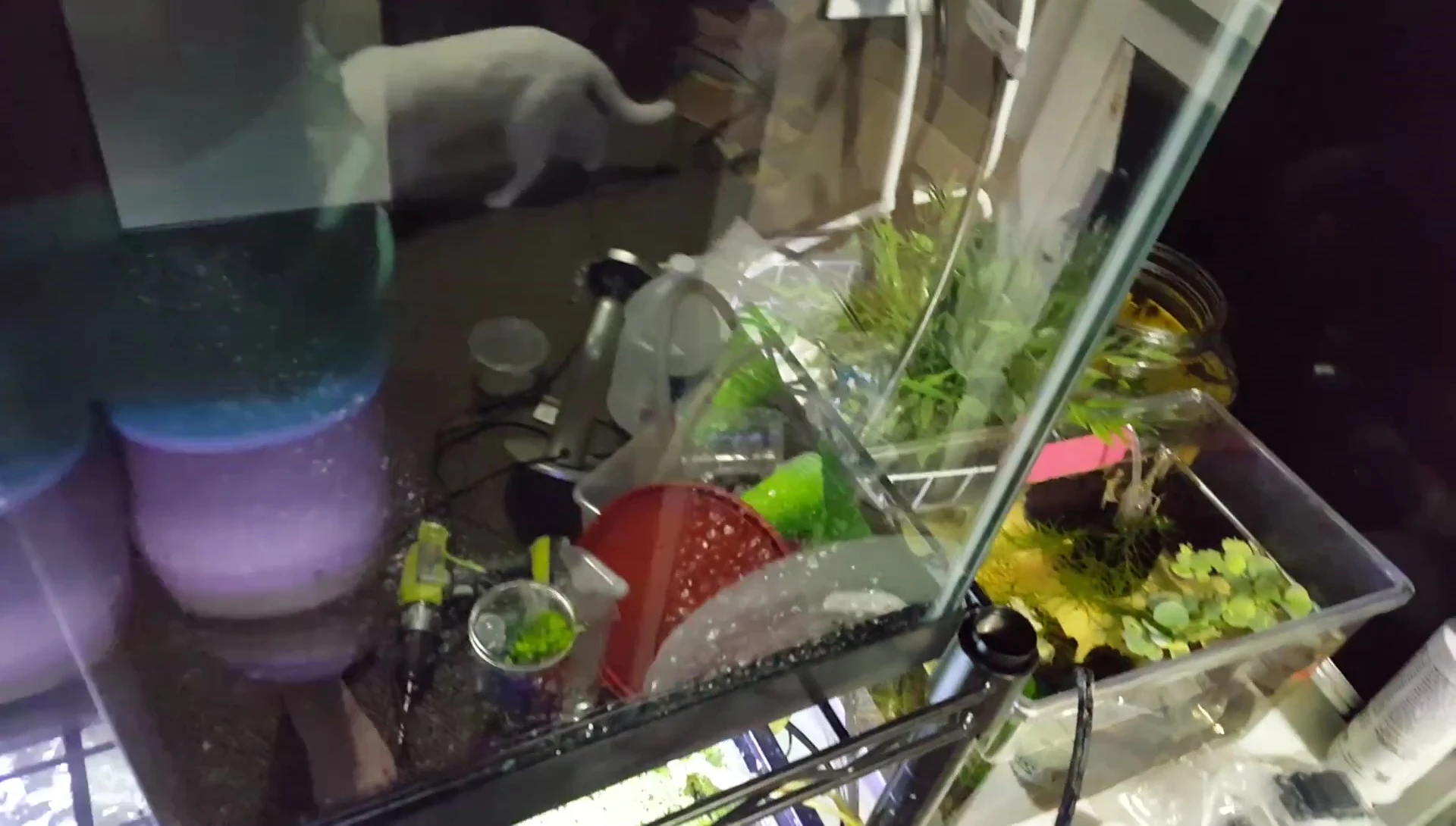 Gravel being added to the tank, background showing the somewhat messy workspace.