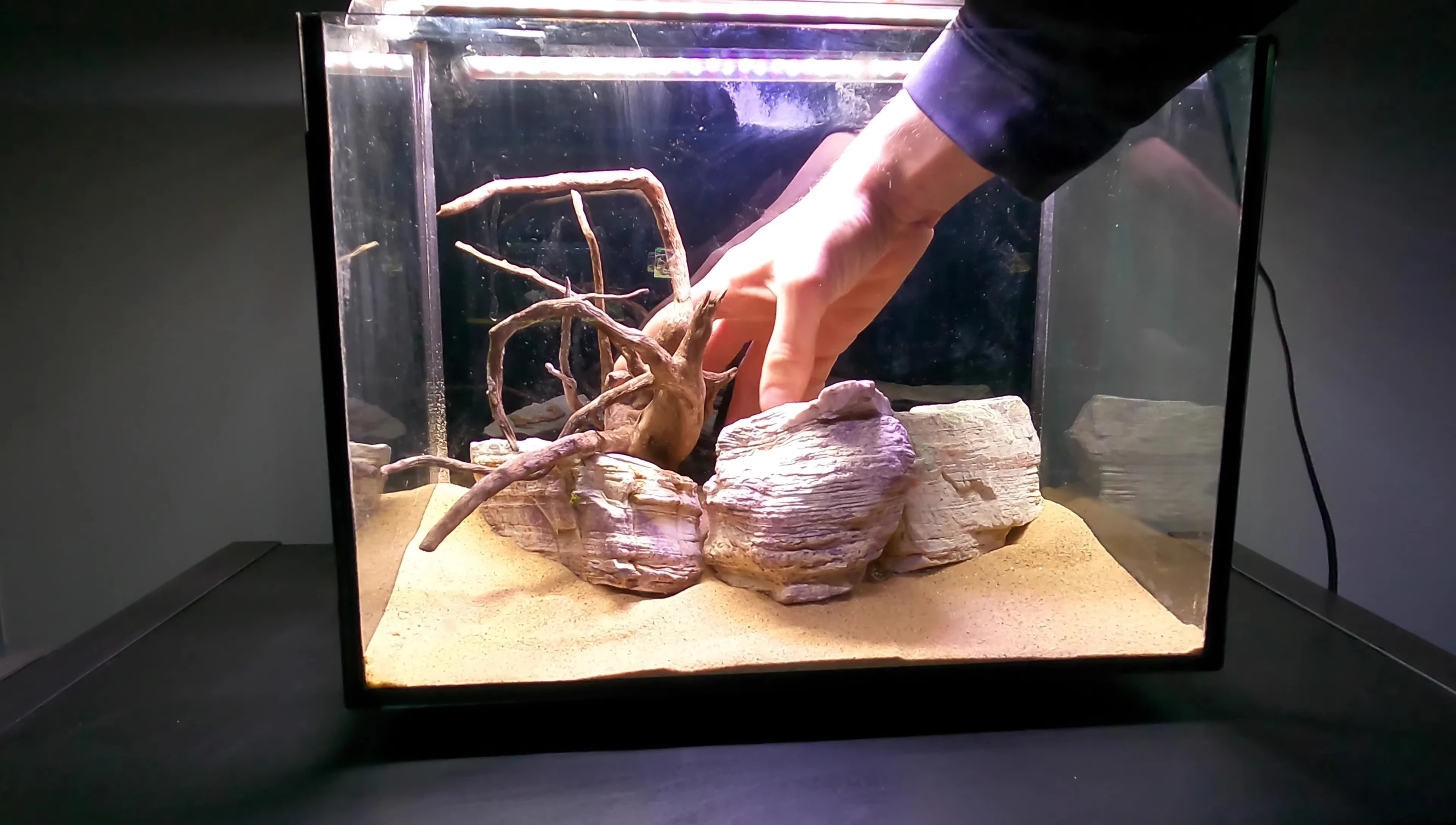 The final hardscape arrangement in the tank.