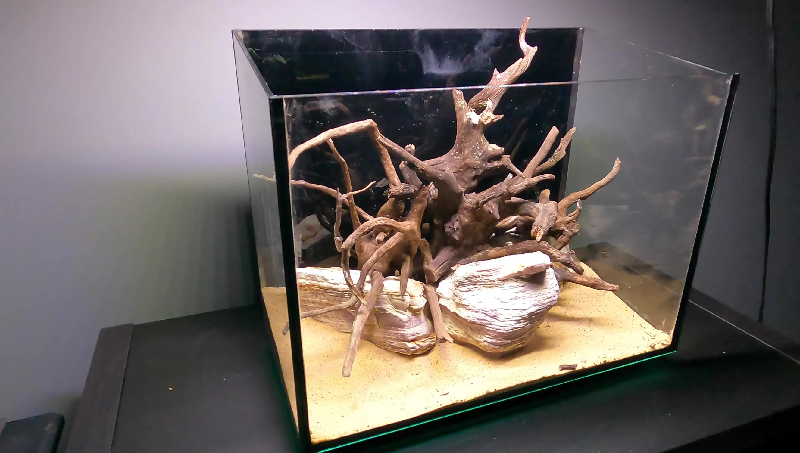 The completed aquascape in the Aqueon Accent tank.