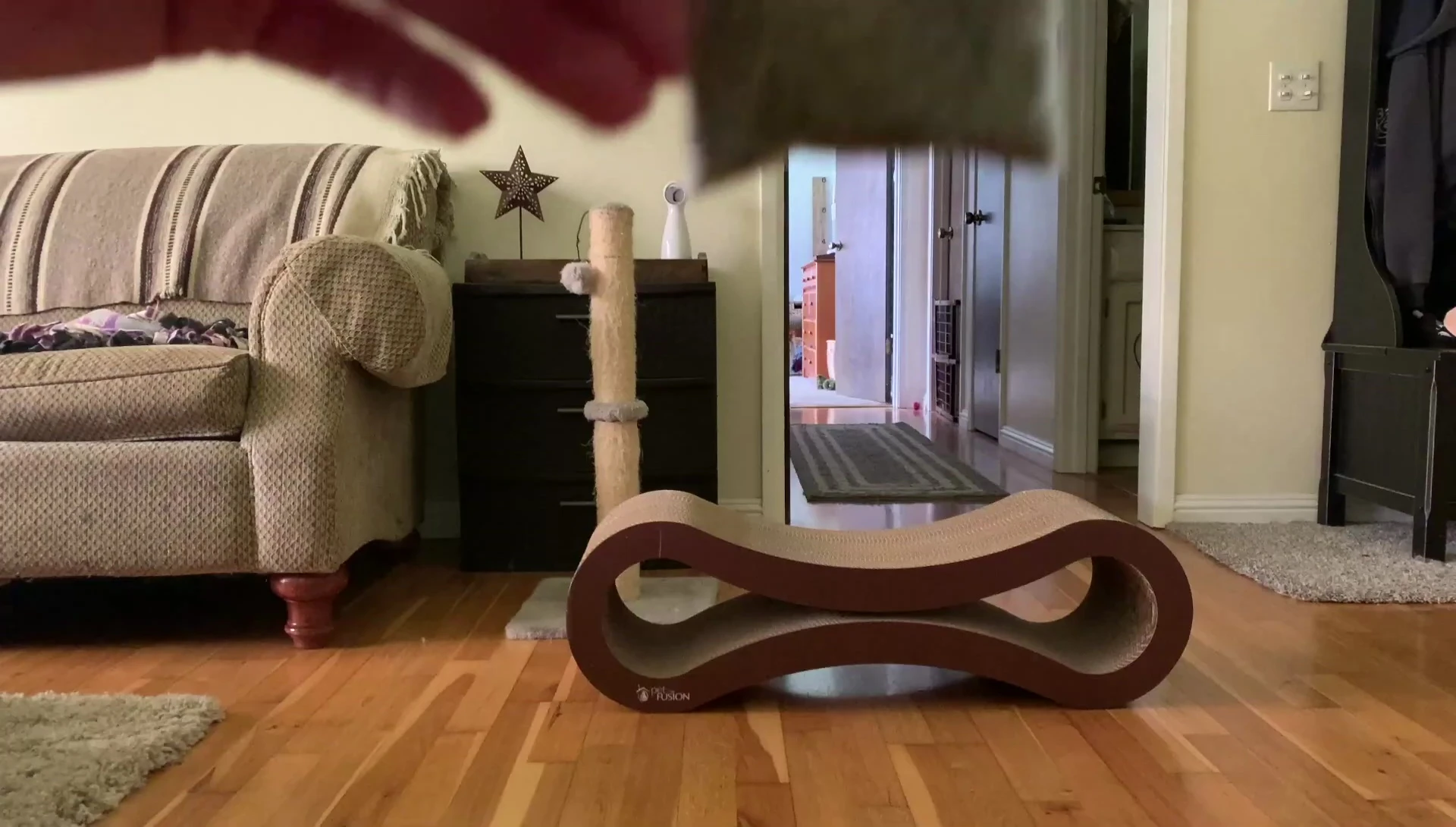 Screenshot displaying the catnip packet included with the product