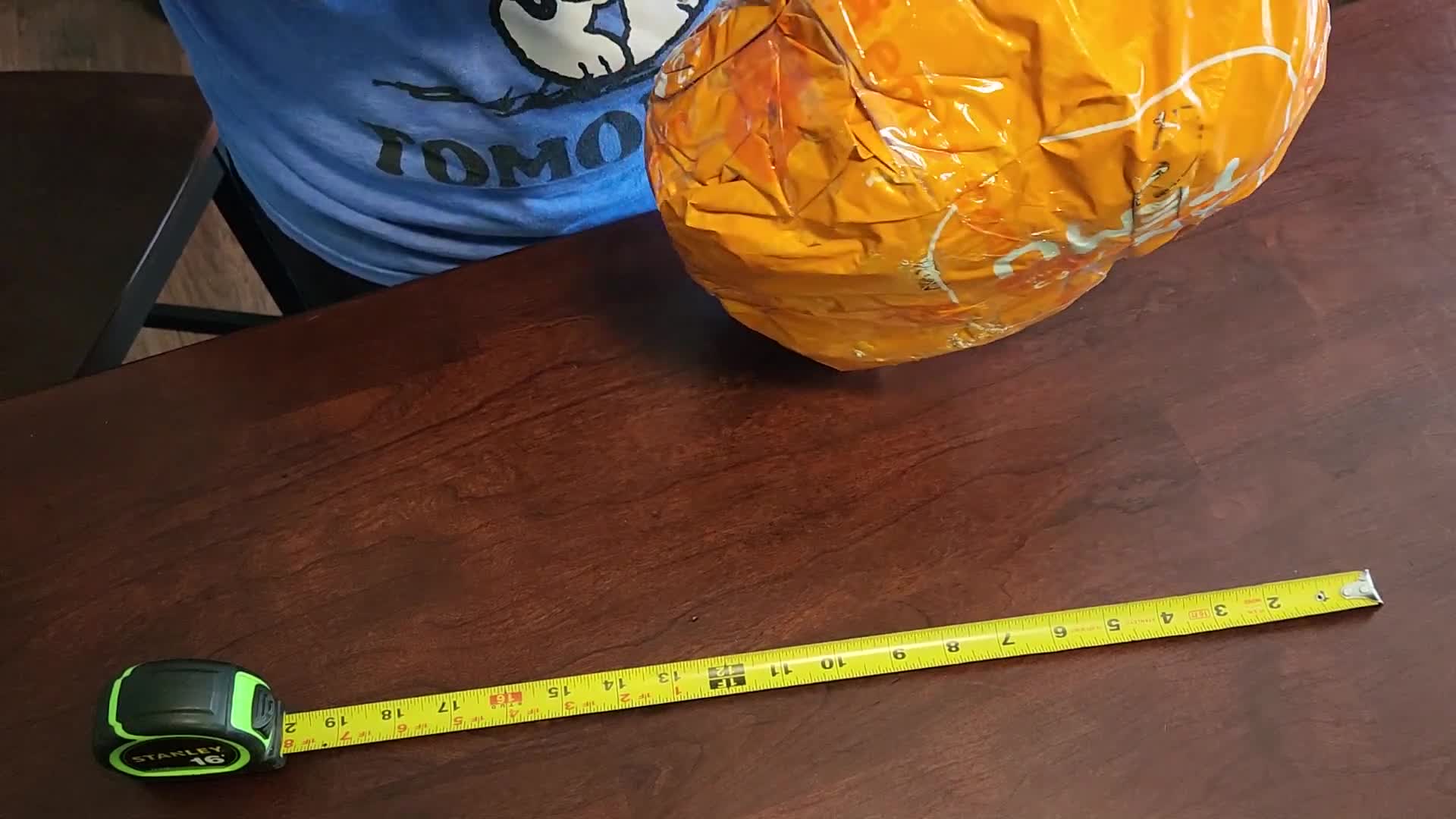 Initial shot of the Temu package containing the aquarium driftwood.