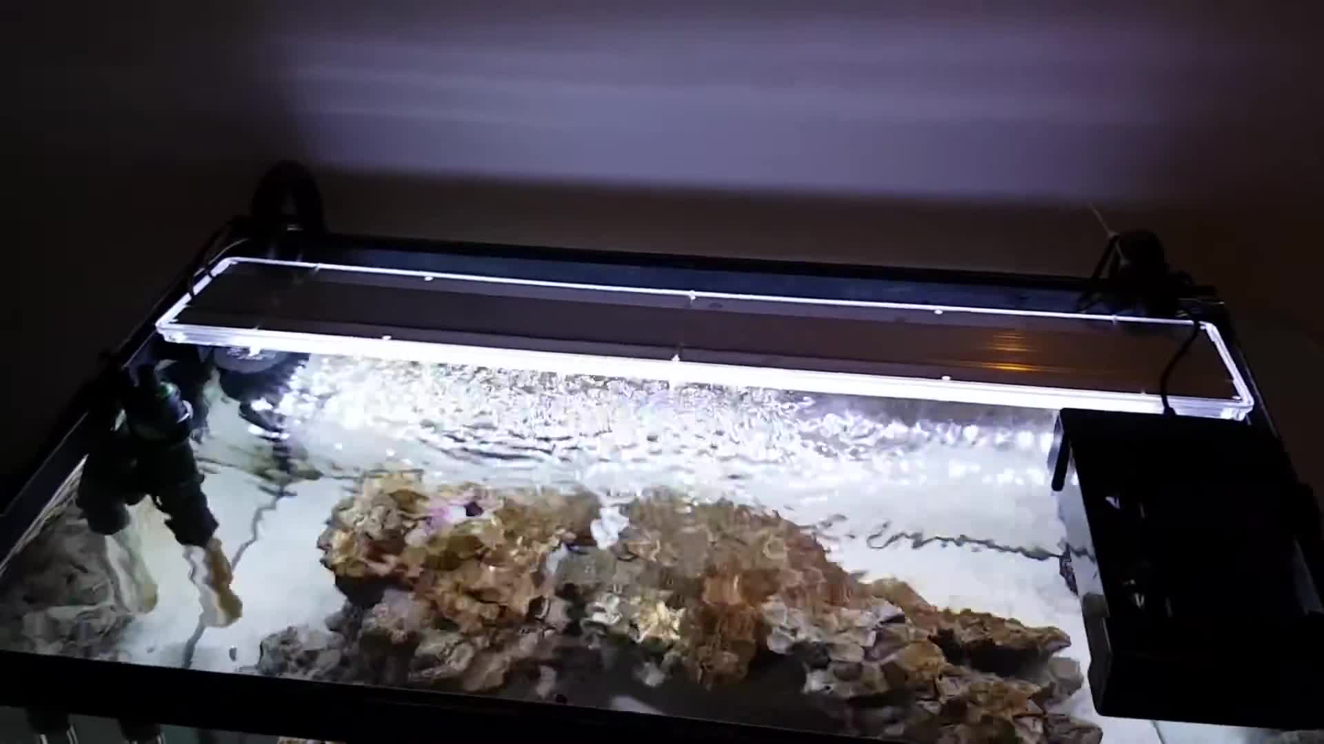 The 1780 litre tank and stand