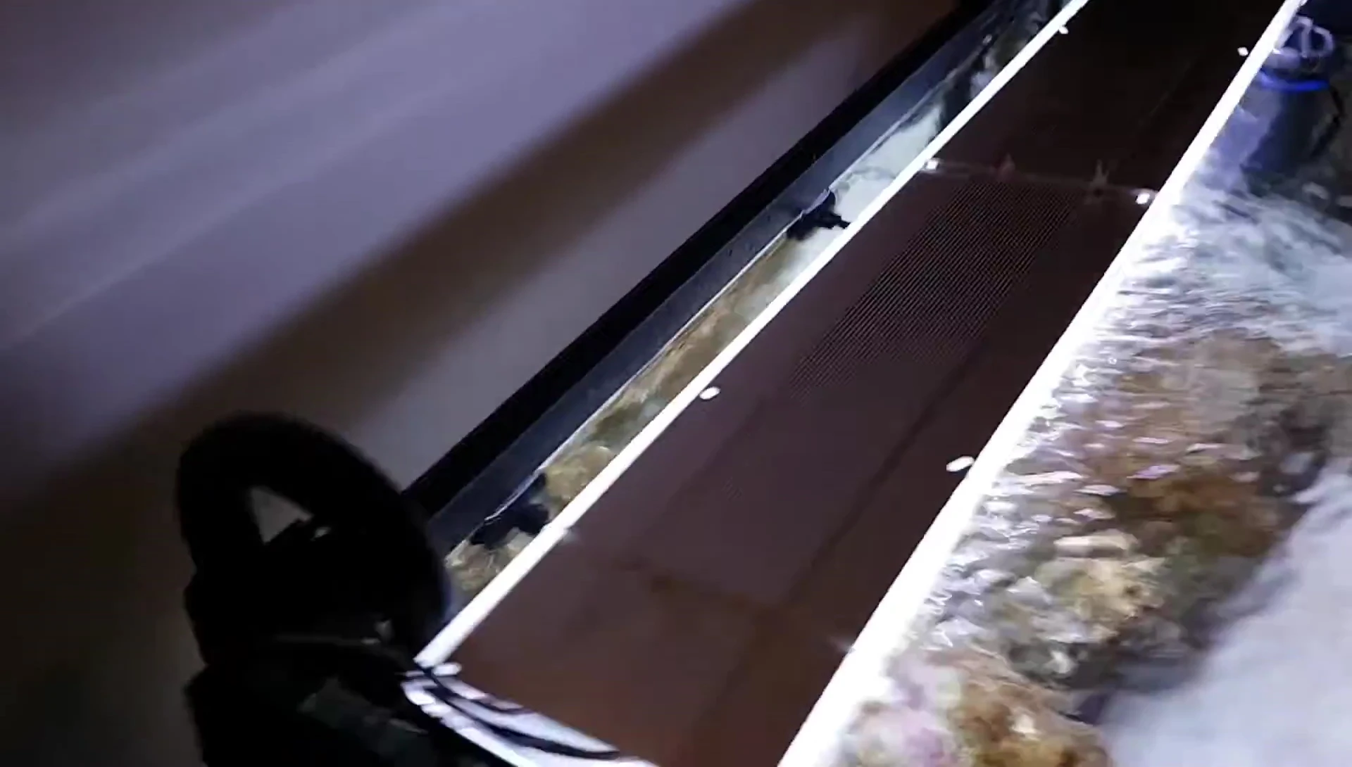 The double fan system
