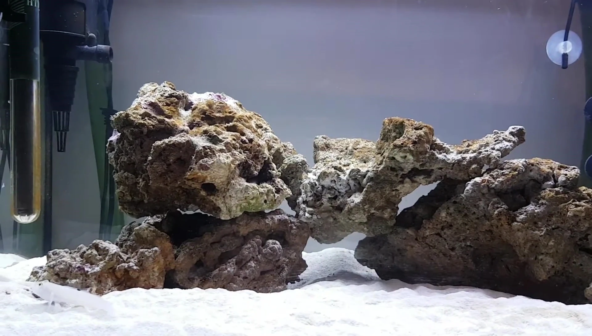 Tank overview, showing the potential for further additions.