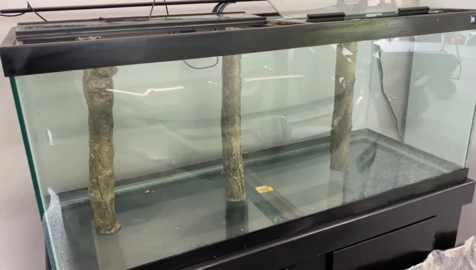 The three bamboo pieces securely placed in the tank bottom.