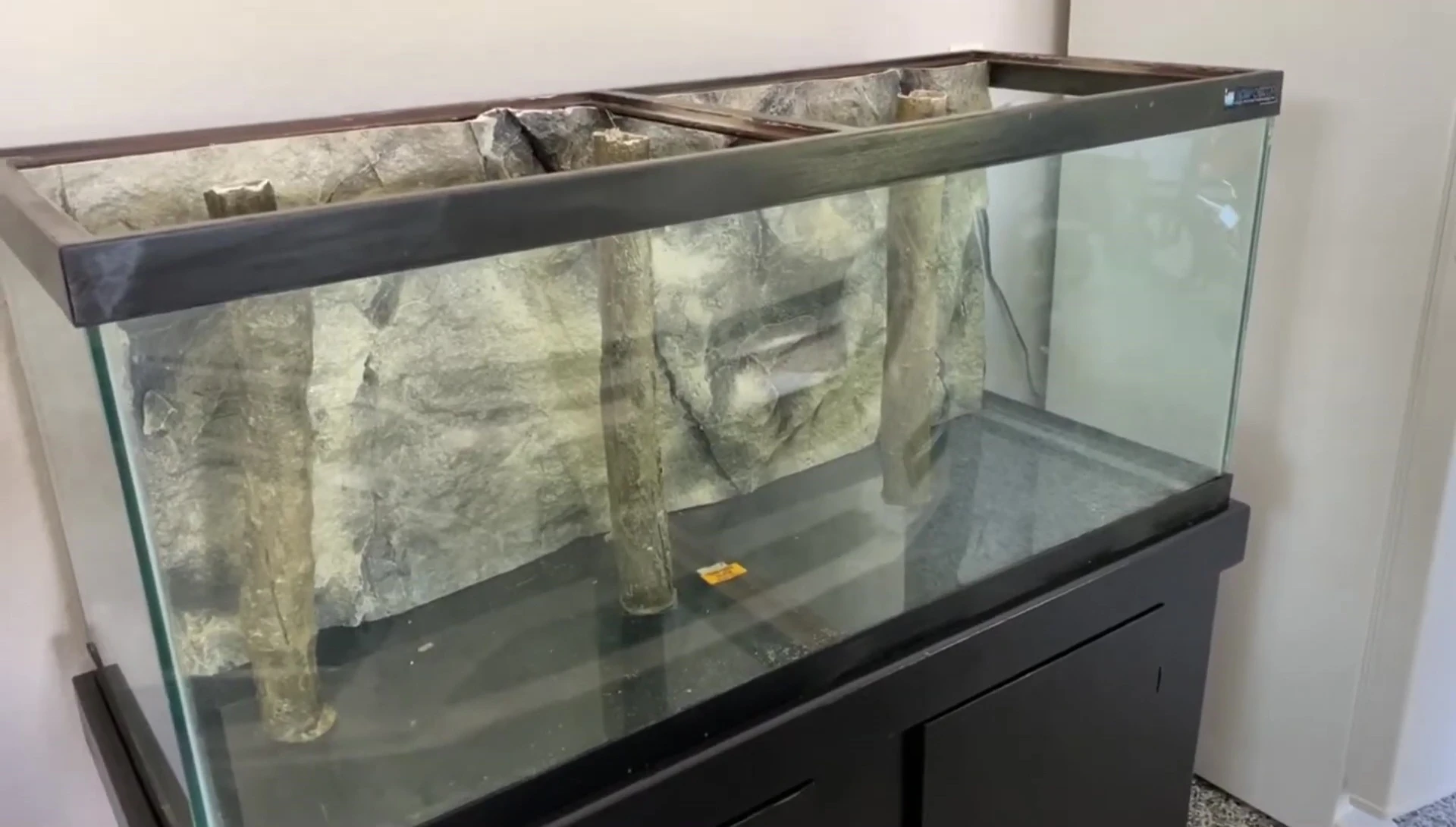 The background installed in the tank.