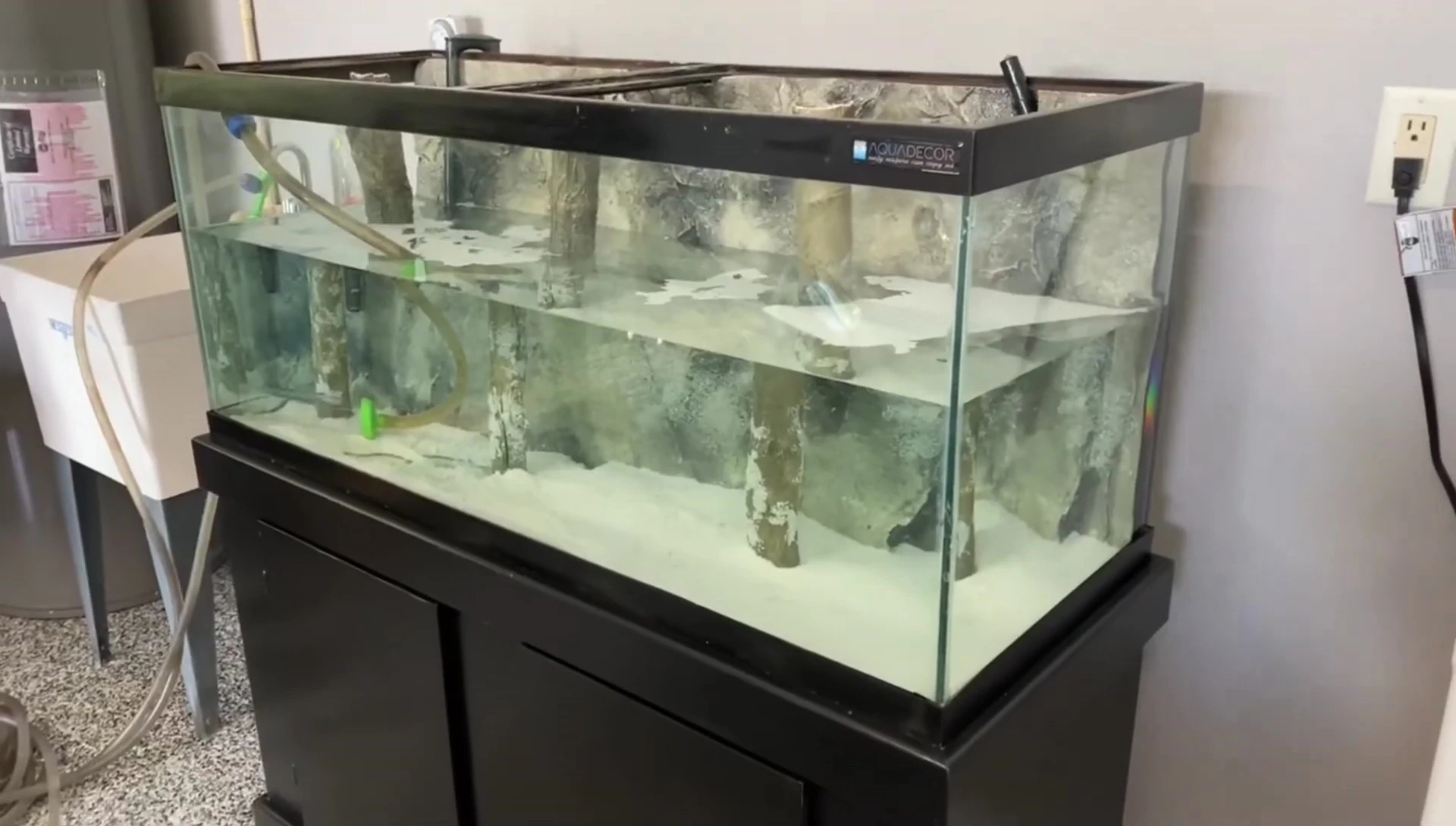The tank filled with water and the final setup.