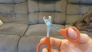 Clipping Cat Nails: A Step-by-Step Guide for Cat Owners