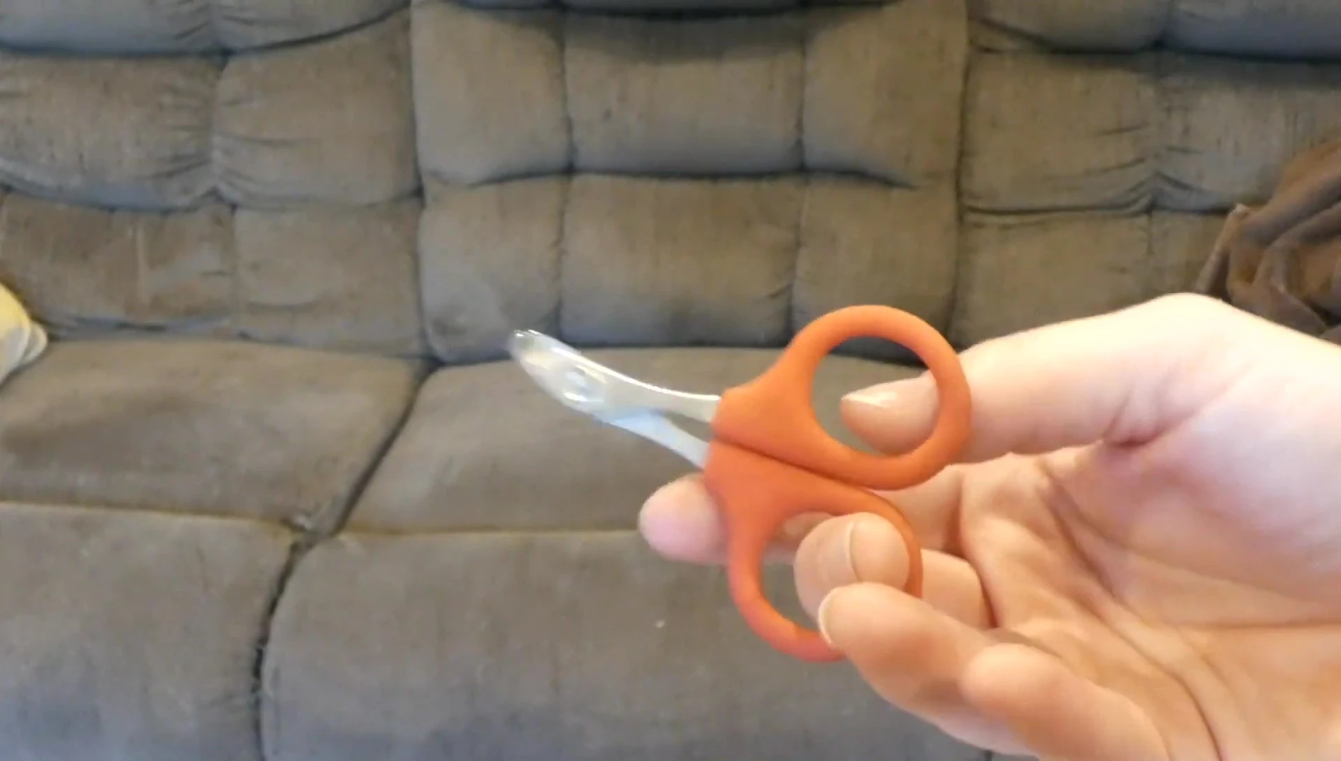 Close up of the cat nail clippers being used.
