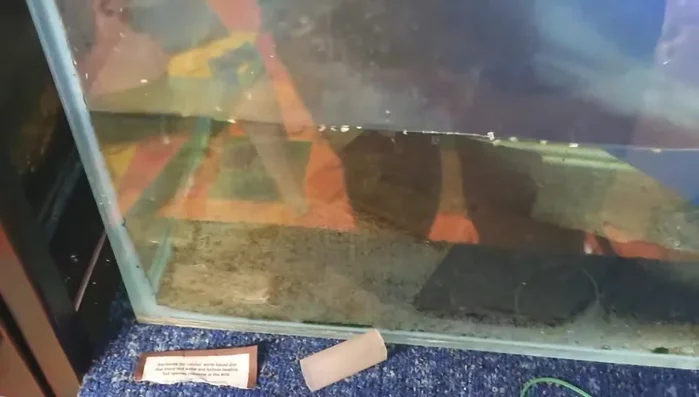 Insert the cut pieces of corrugated plastic into the ring binders to create the divider frames.