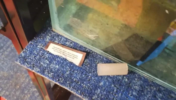 Insert the cut pieces of corrugated plastic into the ring binders to create the divider frames.