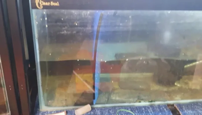 Adjust the dividers as needed to ensure a snug fit and straight alignment.