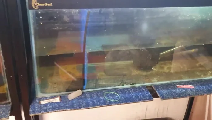 Adjust the dividers as needed to ensure a snug fit and straight alignment.