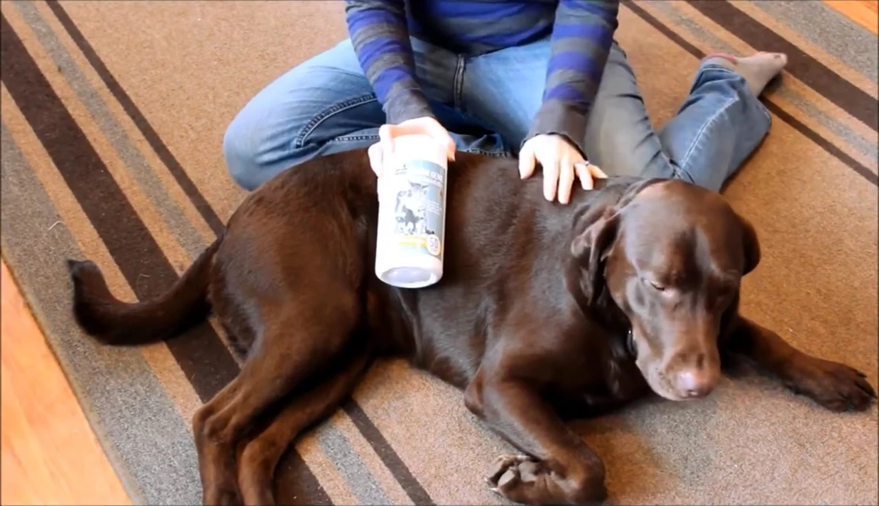 Grooming Jeanne wipes dispenser