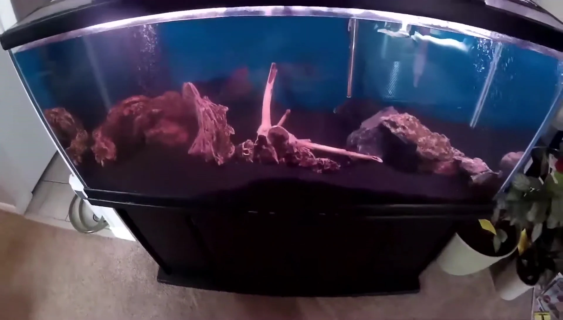 Measuring the tank