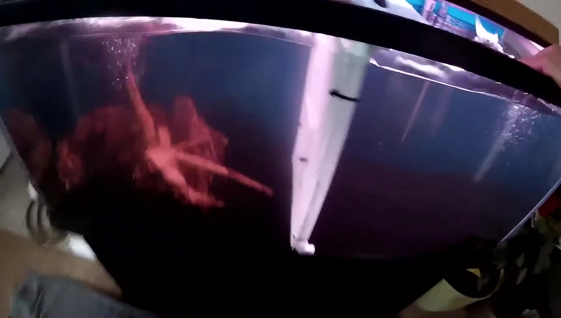 The finished product in the tank