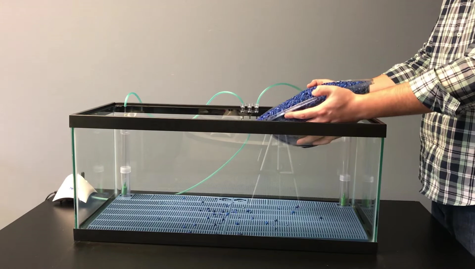 Adding gravel and water to the aquarium