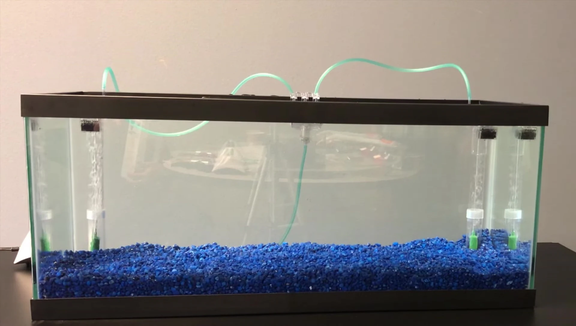 Air stones bubbling water through the filter plates