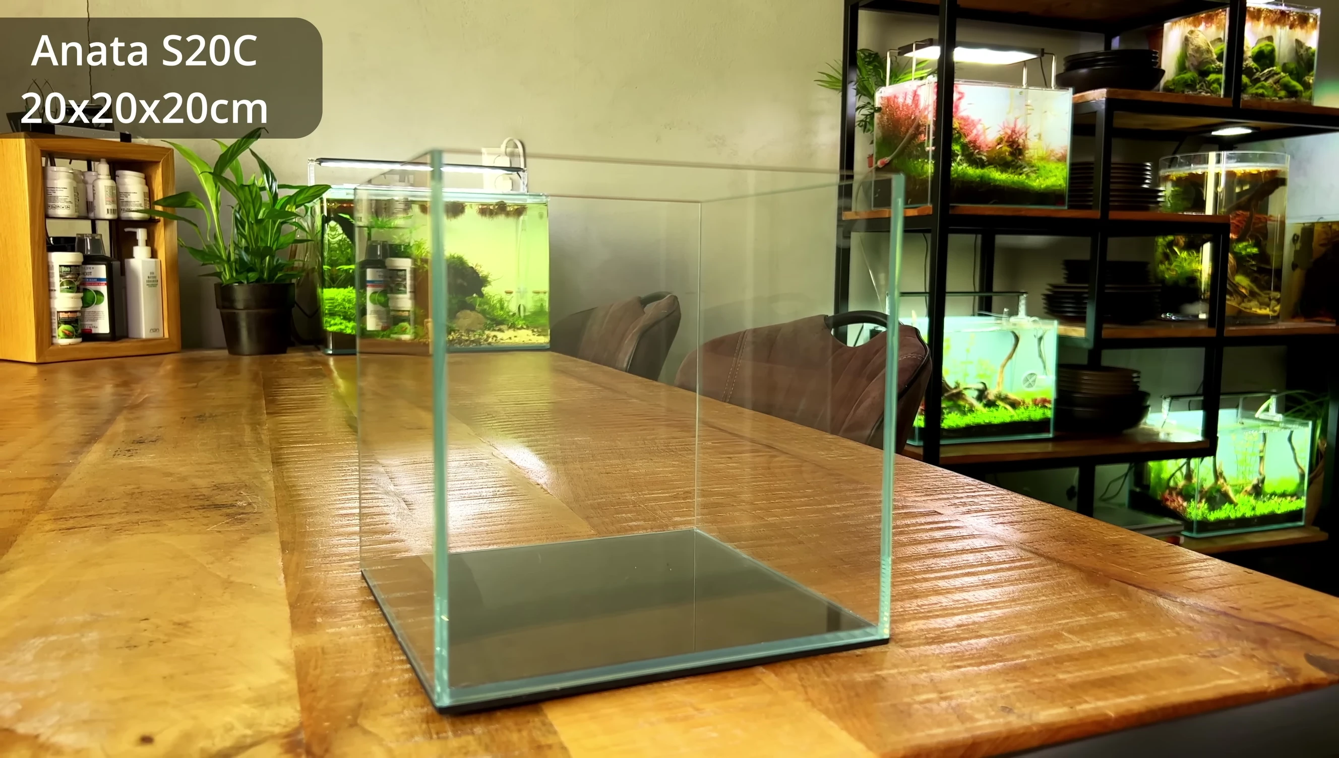 Close-up of the F-Zone Anata cube aquarium.