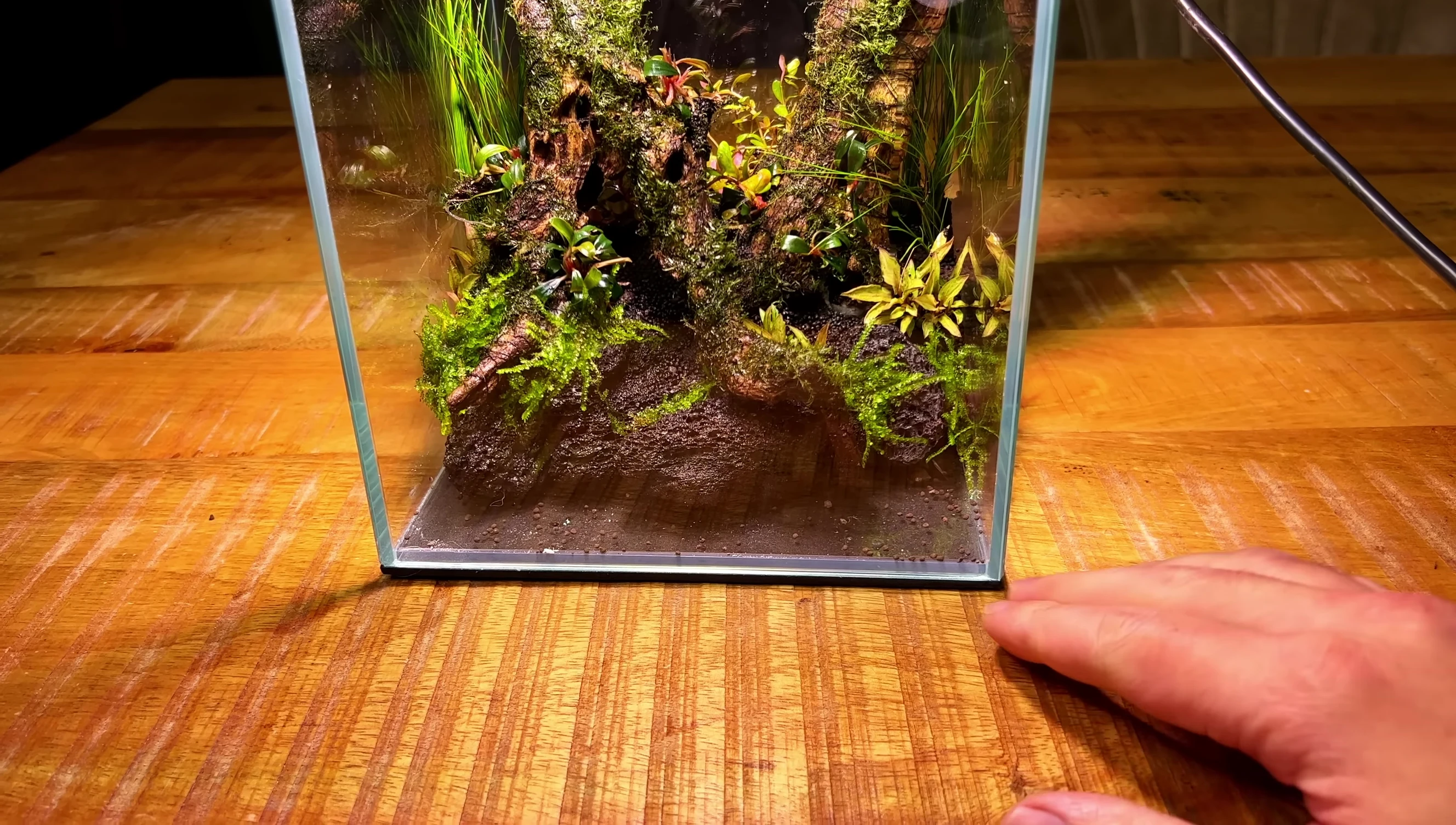Filling the aquarium with water.