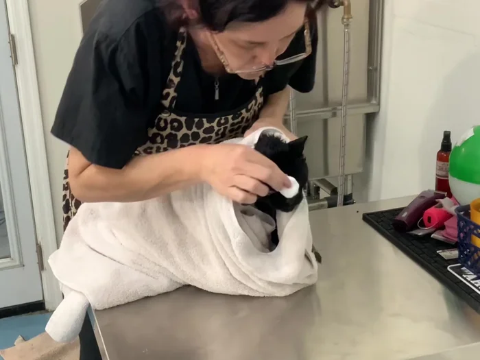 Ear and eye cleaning