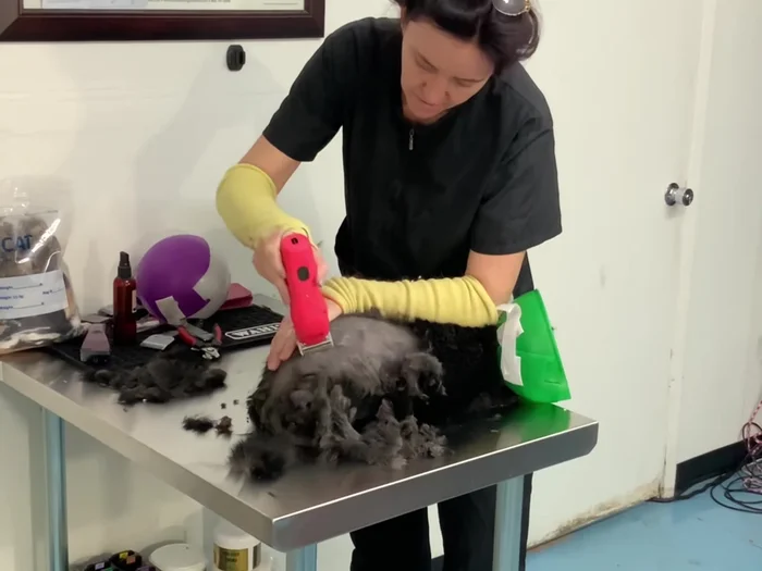 Clipping the body, using two hands to stretch the skin