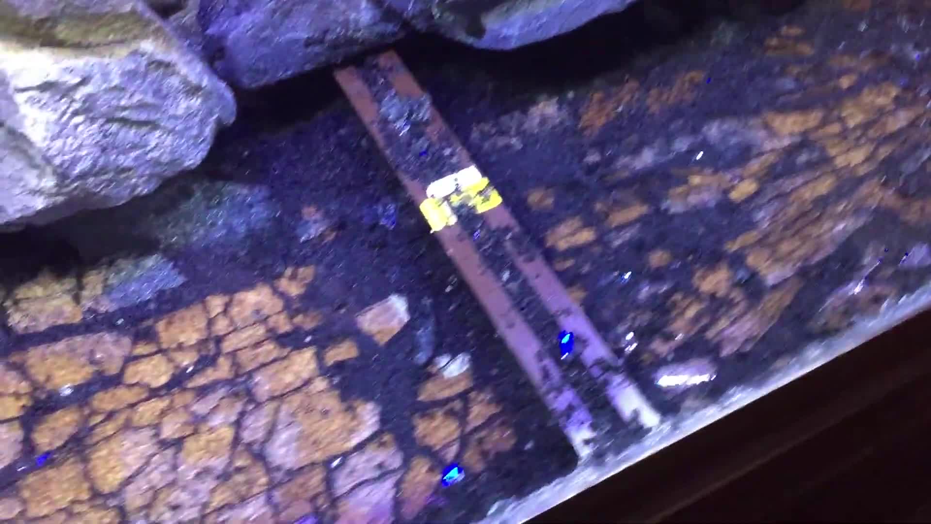 Initial view of the shattered aquarium bottom, showing the crack pattern.