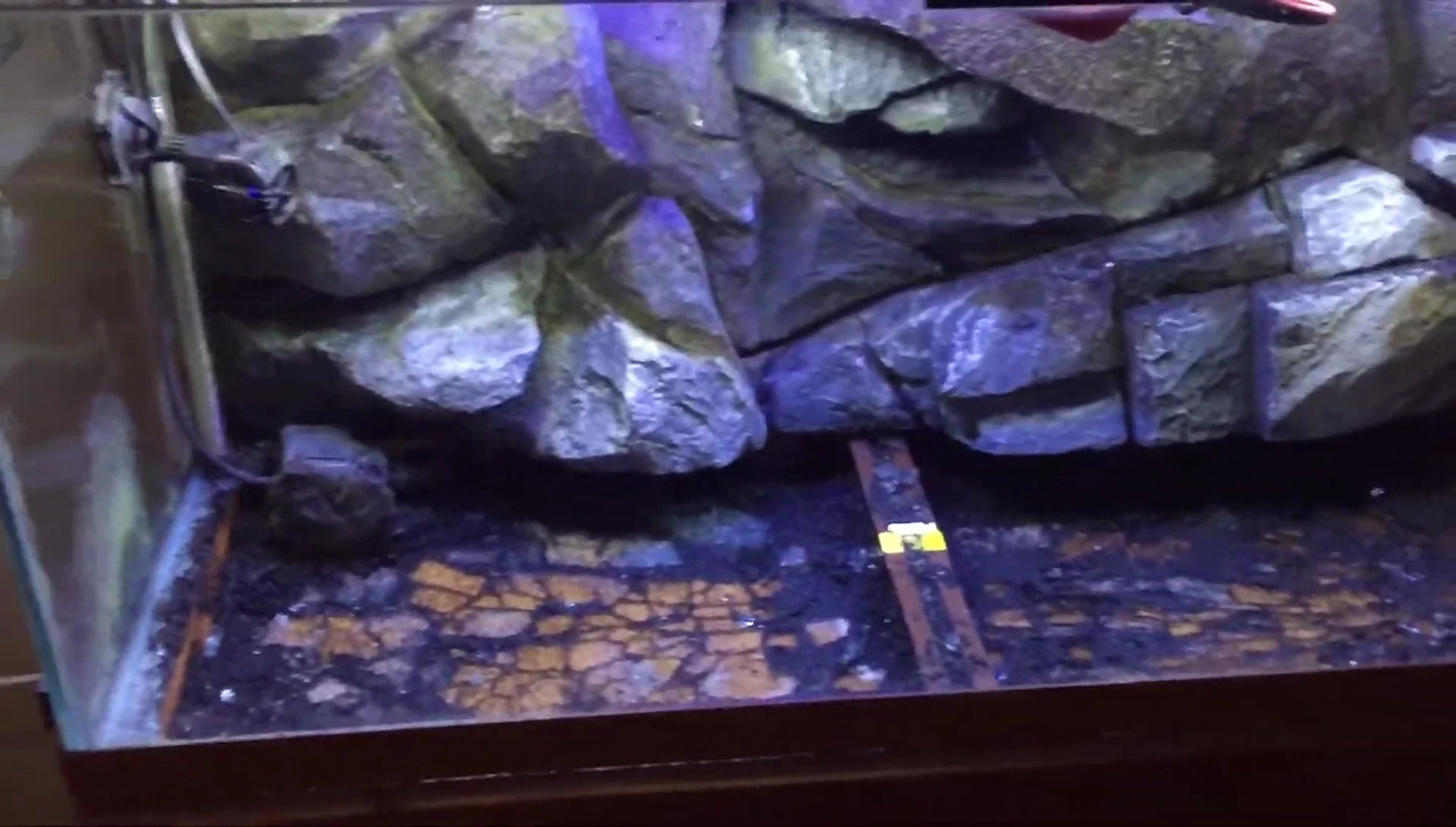 The aftermath of the tank failure, showing the excavation and cleanup effort.
