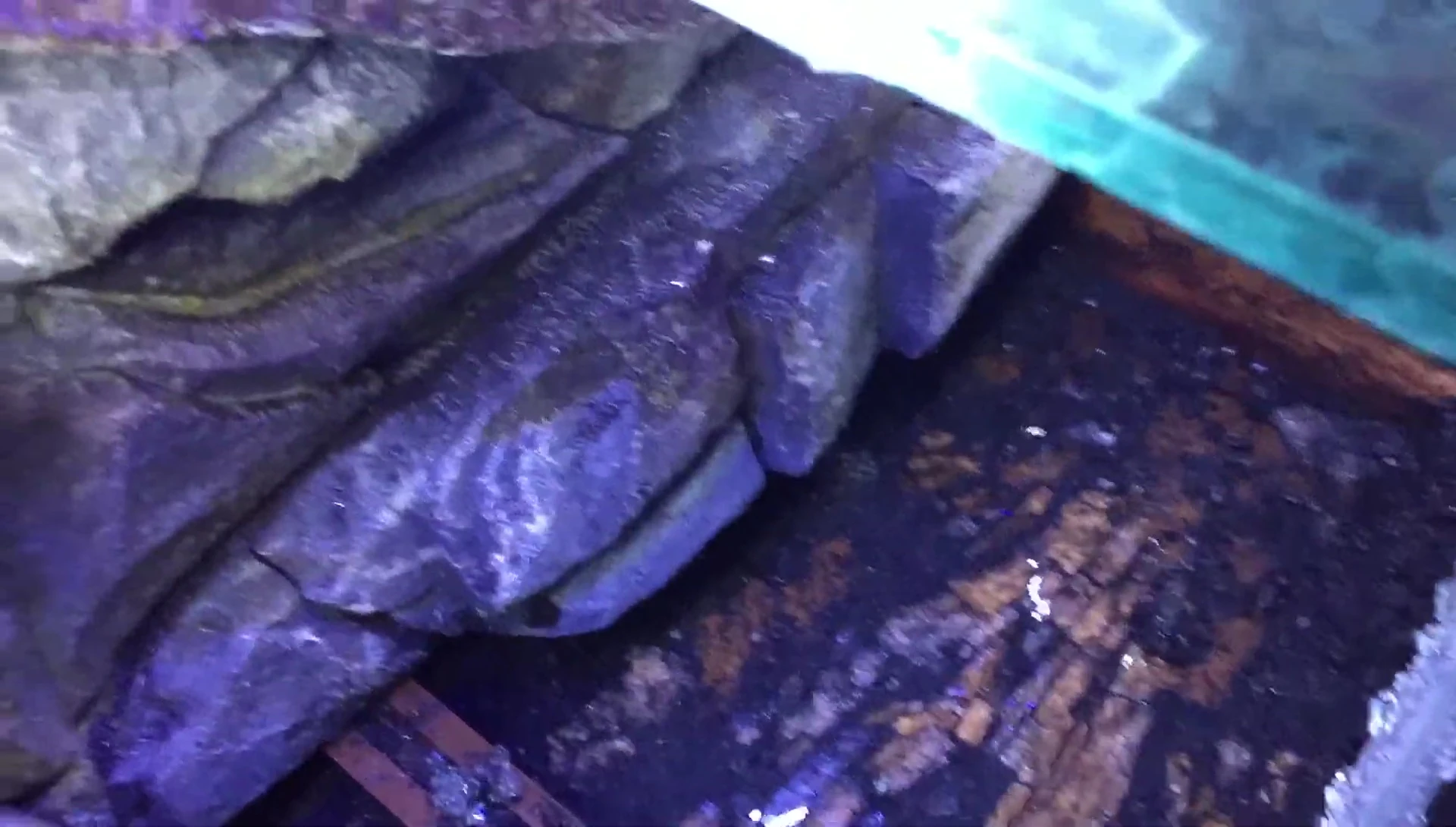 The area where the fish had been digging, showing the hollow space underneath.