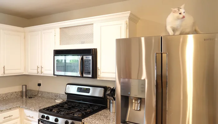 Treat your entire environment (indoors and out) for best results.