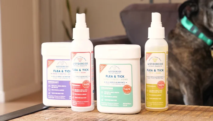 Treat your entire environment (indoors and out) for best results.