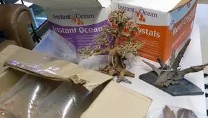 Aquarium Supplies Wholesale: A Deep Dive into Importer Sourcing