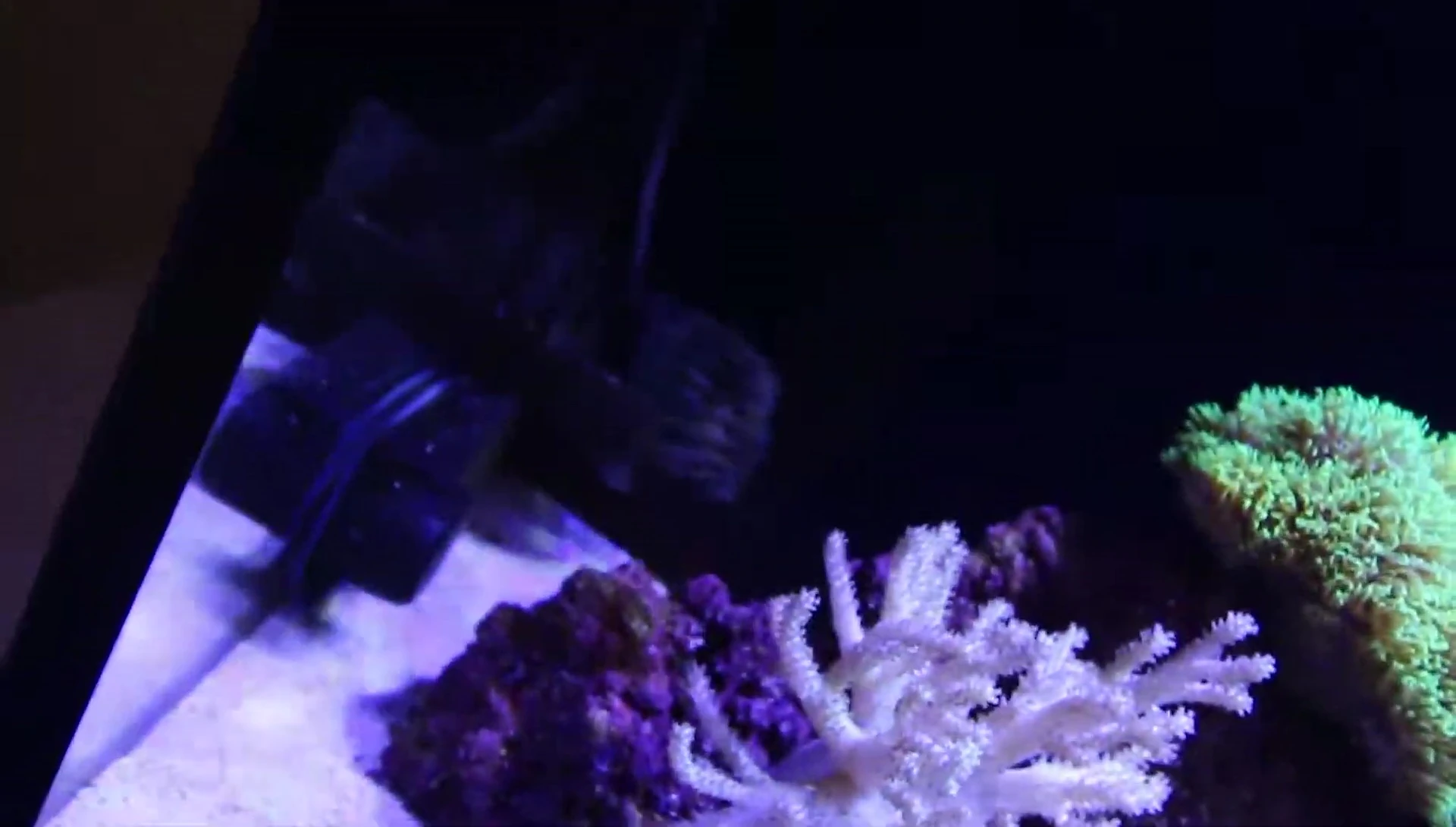 Powerhead positioned in the tank