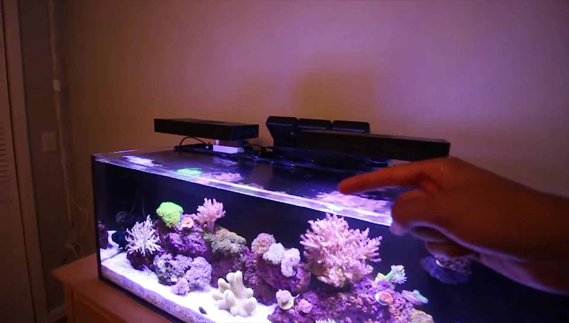 Close-up of the Aquanite Hypergara LED