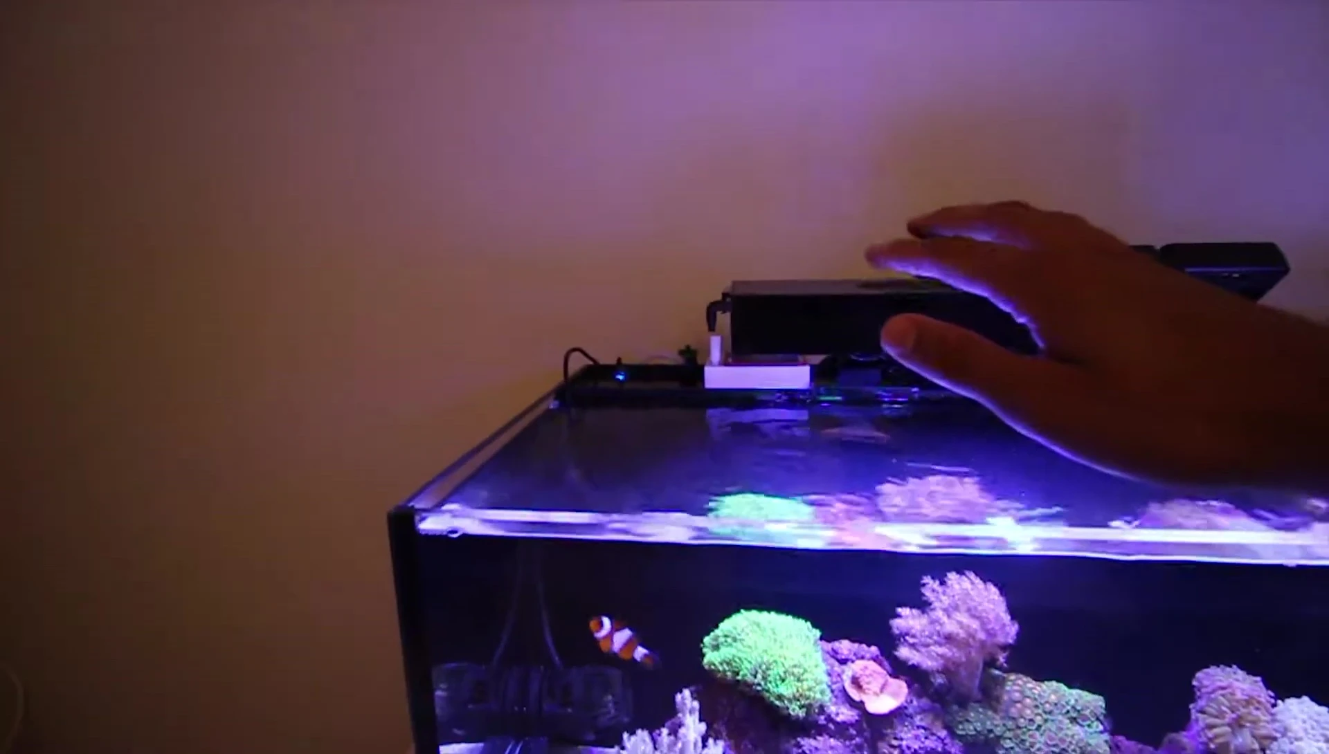 Demonstrating the touch-sensitive buttons