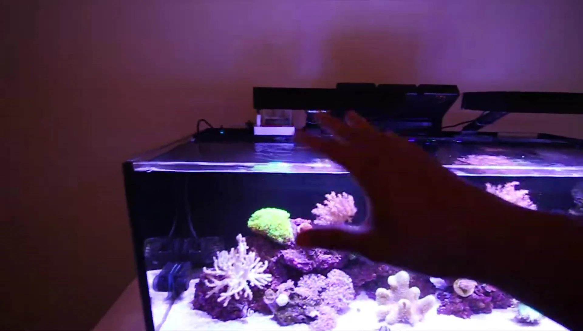 Close up of the LED light