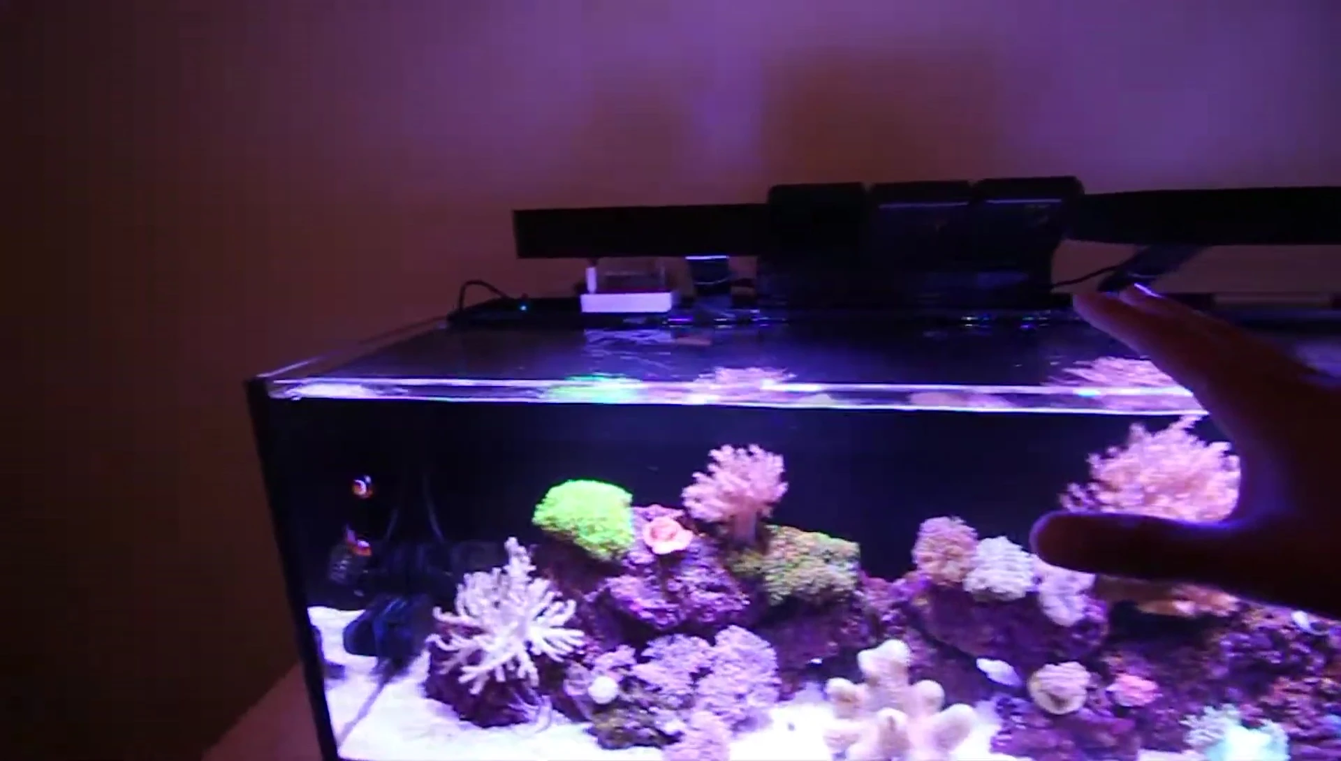 Video overview of the LED lights