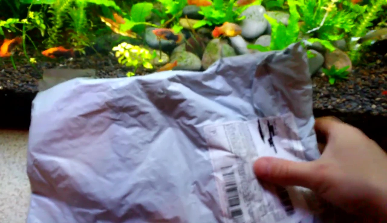 The package containing driftwood from Asia