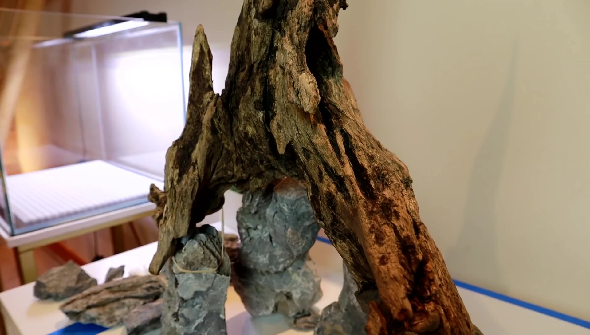 Using epoxy putty to secure the driftwood.