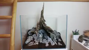 Evil Driftwood Aquascape: A Unique and Challenging DIY Project