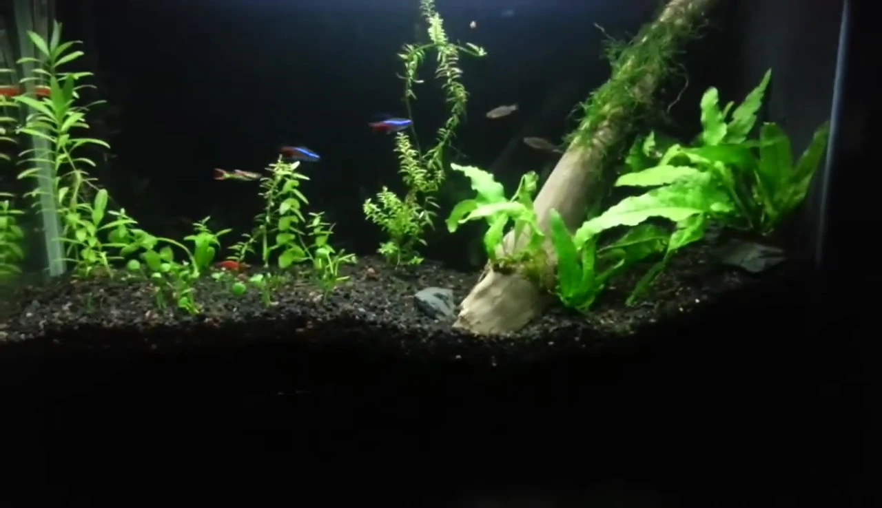 The reshaped substrate creating a gentle slope.
