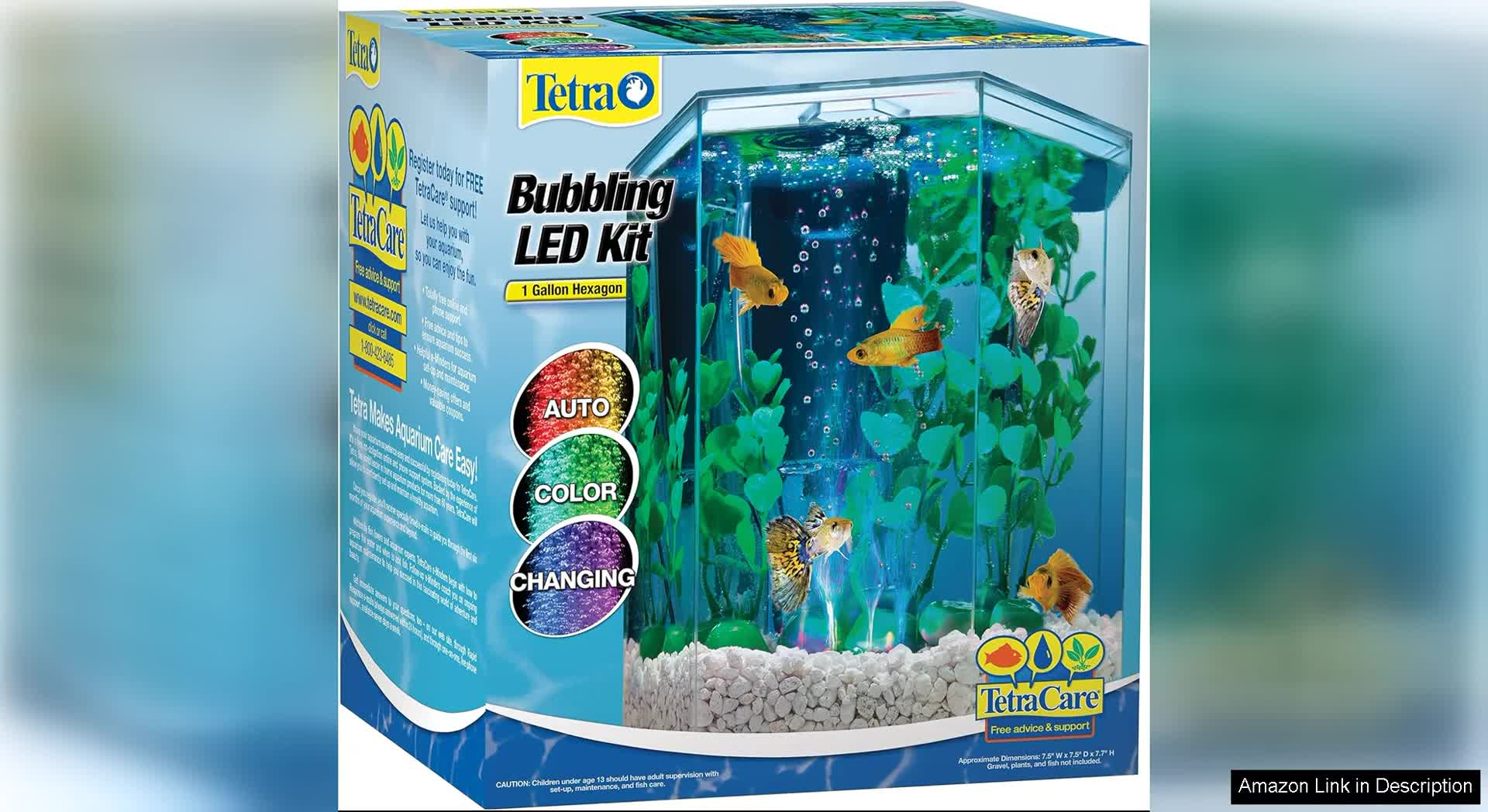 Hexagon-shaped aquarium showcasing its unique design.