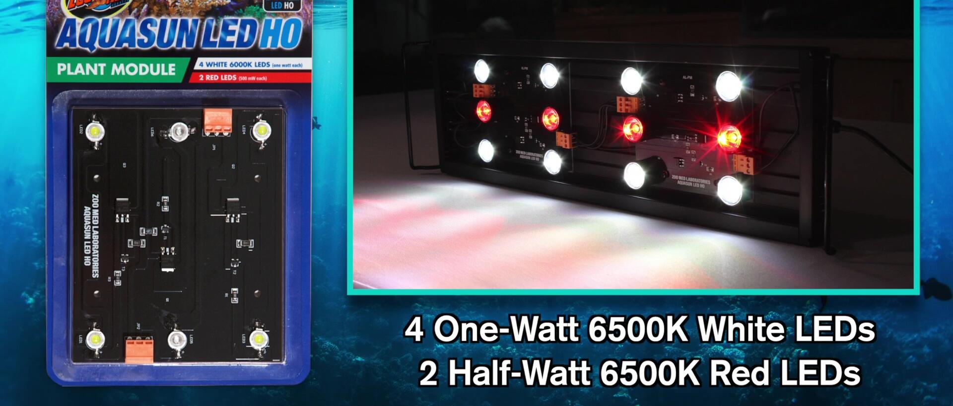 Showcase of the plant module with red LEDs