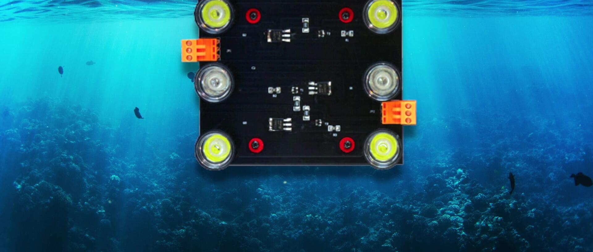 Detailed view of the LED modules within the fixture