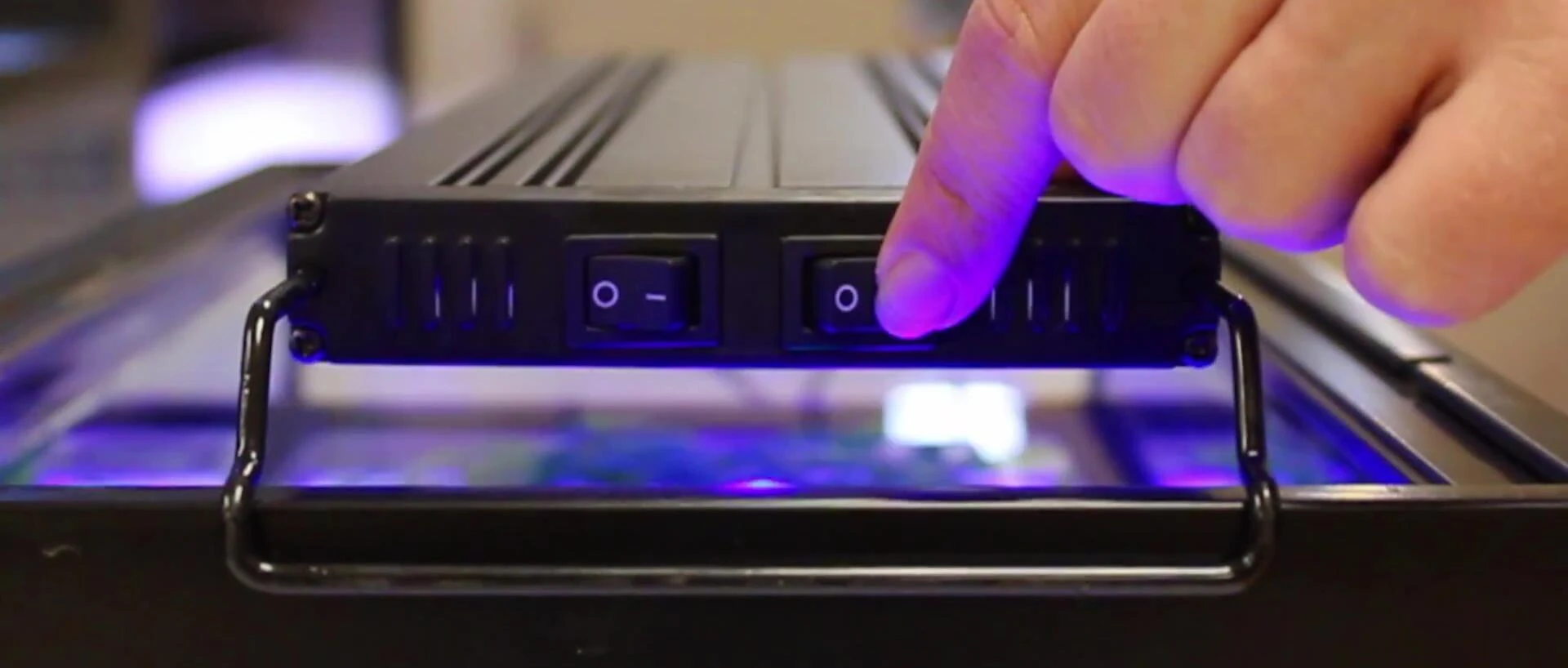 Close-up shot of the light fixture's switches for controlling the white and blue LEDs