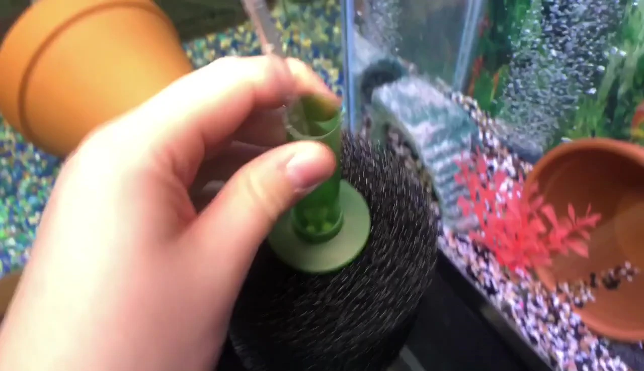 Placing the assembled filter into the aquarium.