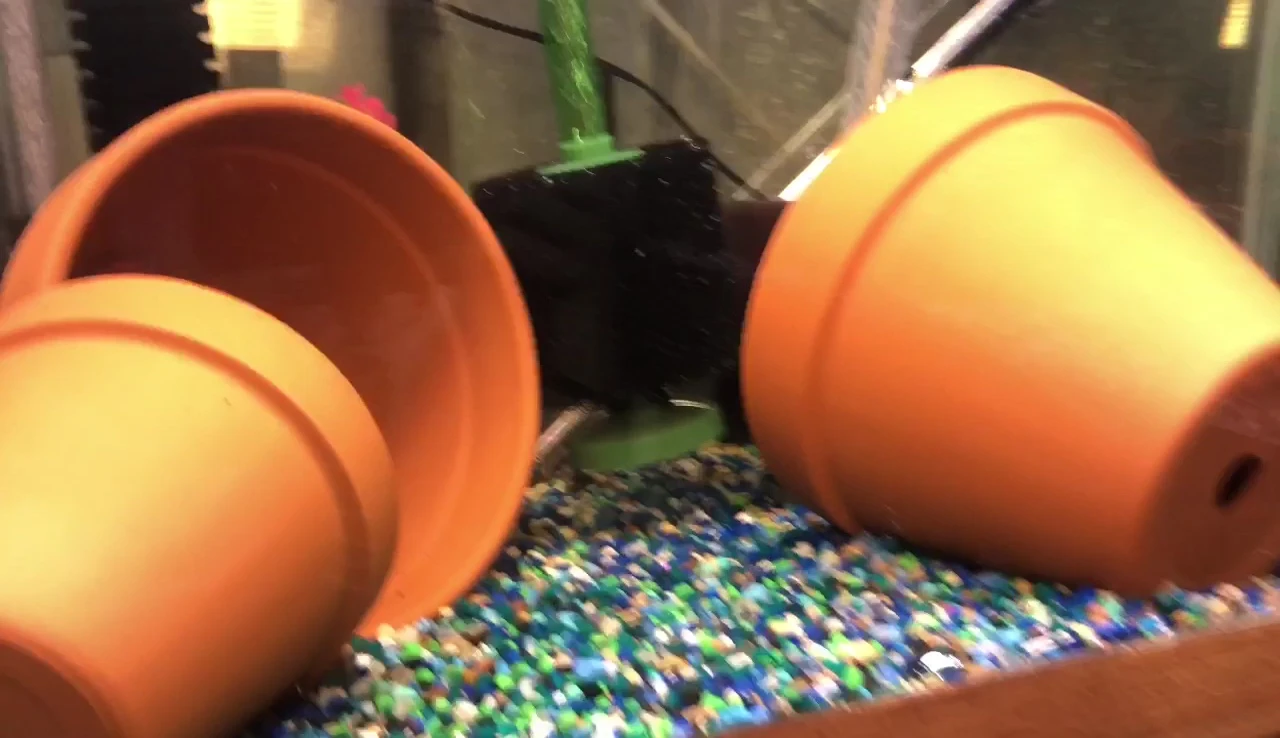 The filter operating effectively in the aquarium, showing good water movement.